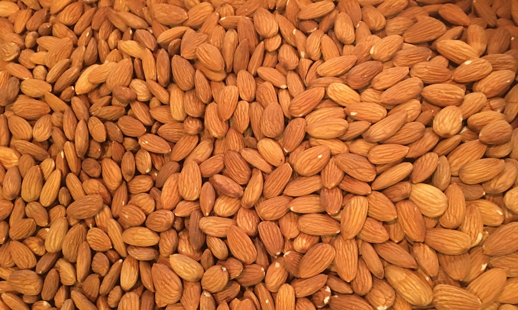 Organic Unpasteurized Almonds 20 Pounds- FREE SHIPPING!